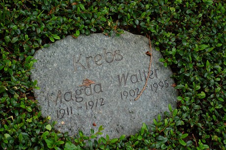 Bad Godesberg
